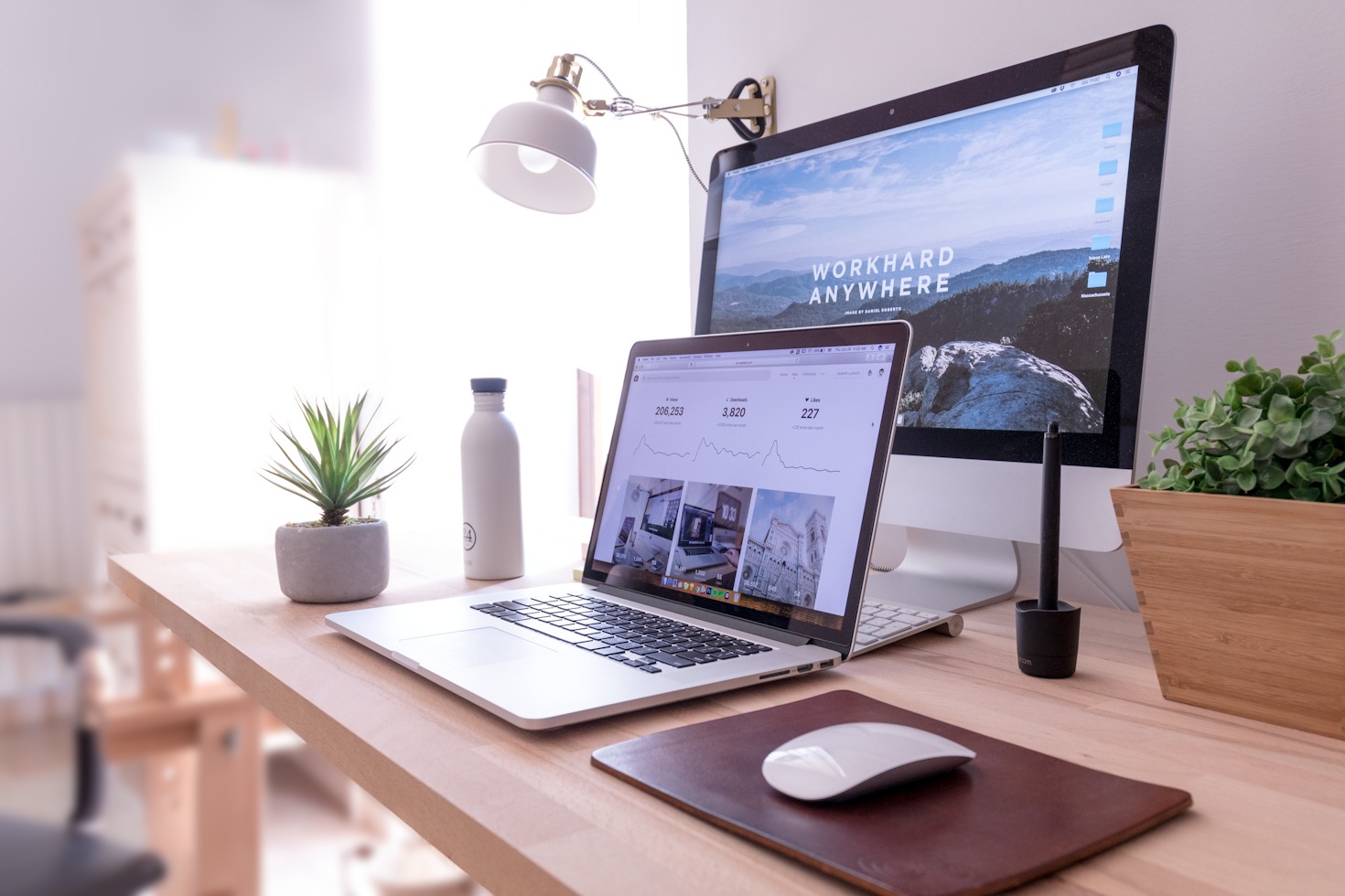 Boost Your Sales: TikTok Strategies for Wellness